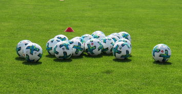 开云体育下载官网-青训是否支持球员全面发展包括学业和身体健康，青训要求